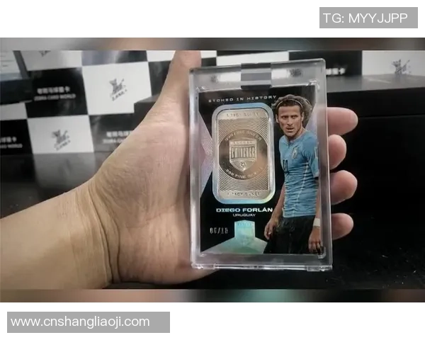 老斑马荣耀之路回顾传奇足球巨星的奋斗与辉煌 老斑马荣耀之路回顾传奇足球巨星的奋斗与辉煌