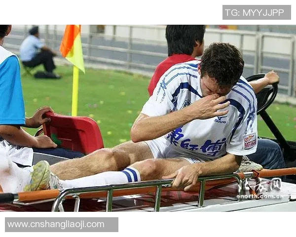 海内外足坛巨星汇聚 海字球员引领足球风潮 海内外足坛巨星汇聚 海字球员引领足球风潮